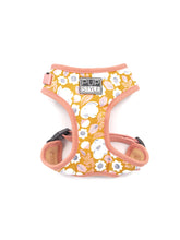 Summer Fling Style Bundle