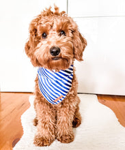 Stripe Squad Bandana