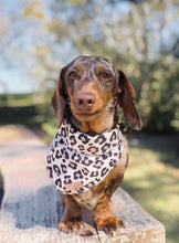 Wild One Bandana